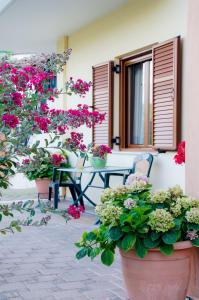 A garden outside Nefeli