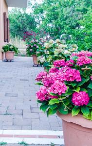 A garden outside Nefeli