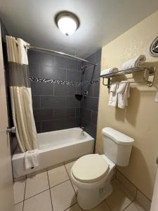 a bathroom with a toilet and a tub and a sink at Kiteville Bradford in Bradford