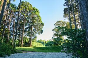 Fotografie z fotogalerie ubytování いすみ市の自然の中の別荘B棟-IsumiB v destinaci Ichigaya + 32 fotografií