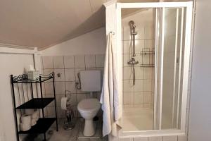 een badkamer met een toilet en een douche met een douchegordijn bij Casa Foresta in Maggia +12 foto's