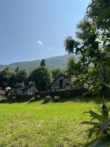 ein altes Haus auf einer grasbewachsenen Wiese mit Bäumen in der Unterkunft Casa Foresta in Maggia