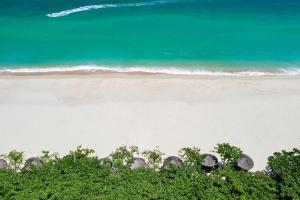 un groupe d'éléphants marchant sur une plage dans l'établissement Yalong Bay Mangrove Tree Resort, à Sanya 58 autres photos