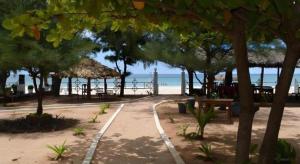 a beach with trees and a pavilion and the ocean at Silver Beach Hotel in Trincomalee