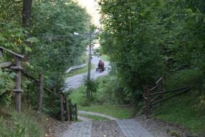 Przyroda w pobliżu tego domu w stylu alpejskim
