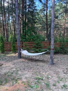 Foto sihtkohas Łuka asuva majutusasutuse Forest Home Dębowa 18 galeriist