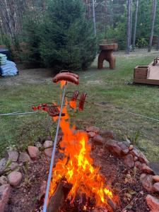 Foto sihtkohas Łuka asuva majutusasutuse Forest Home Dębowa 18 galeriist