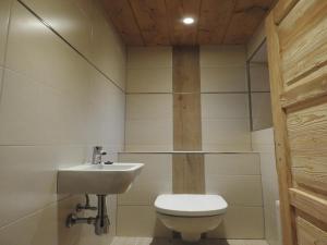 フューゲンにあるBeautiful holiday home in a stunning location with saunaのトイレと洗面台付きのバスルーム