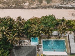 an overhead view of a swimming pool with palm trees at Bravo Beach Resort in General Luna