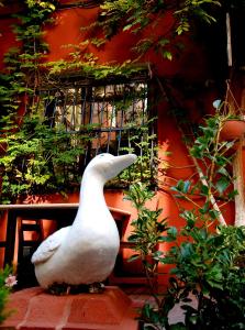 a white bird standing on top of a brick wall at Şebnem Hotel in Istanbul