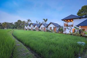 a row of houses in a field of grass at Ascarya Ubud in Ubud +51 photos