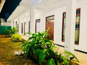 a building with plants in front of it at Villa Elvio in Habaraduwa Central