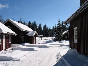 Kleivstua Hotel near Krokskogen v zimě