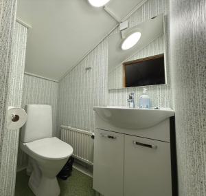 ein weißes Badezimmer mit Toilette und Waschbecken in der Unterkunft Dorm Hilli3 in Rovaniemi