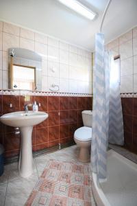 Un baño con lavabo, inodoro y ducha. en Casa Delia Vatra Dornei, en Vatra Dornei