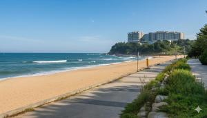 une plage avec l'océan et des bâtiments en arrière-plan dans l'établissement Sokcho pensionbyeol, à Sokcho