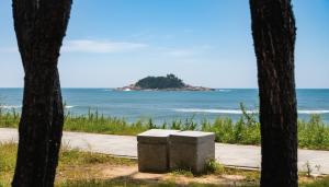 ソクチョにあるSokcho pensionbyeolの二本の木の間から海を望む