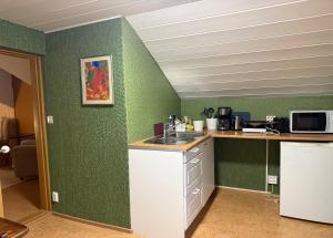 Kuchyň nebo kuchyňský kout v ubytování Dorm Hilli3