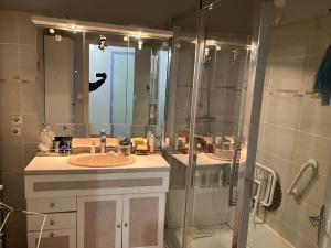 a bathroom with a sink and a shower with a mirror at Le Nazareth in Lyon
