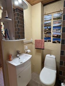 Un baño con un inodoro blanco y un lavabo. en New log cabin near Tartu, en Nõo