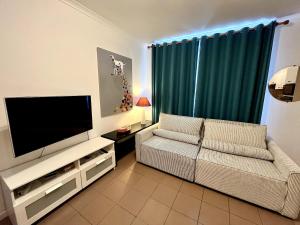 ein Wohnzimmer mit Couch und Flachbildfernseher in der Unterkunft Saint Leonard in Lüttich