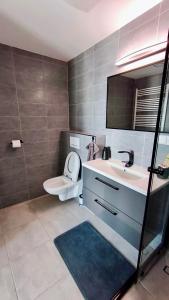 un bagno con lavandino, WC e specchio di Studio apartment 2 a Nové Město na Moravě