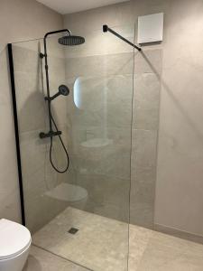 a shower with a glass door in a bathroom at Ferienwohnung Hodenhagen in Hodenhagen +6 photos