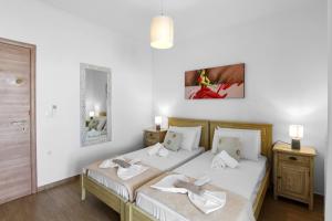 a bedroom with two beds in a room at Panos Apartment Naousa in Naousa