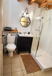 ein Badezimmer mit Toilette, Waschbecken und Dusche in der Unterkunft Maison de village façon Loft, avec cour et airco, dans le centre historique in LʼIsle-sur-la-Sorgue