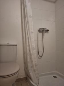 a bathroom with a toilet and a shower curtain at Studio dans centre historique in Vallauris