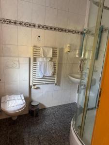 a bathroom with a toilet and a sink and a shower at Hotel & Restaurant Garda in Darmstadt +20 photos