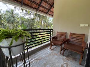Dos sillas y una planta en un balcón en Aptha Ayurveda, en Kadikkād 9 fotos más