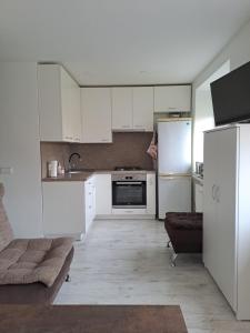 a kitchen with white cabinets and a refrigerator at Prie Agluonos in Biržai