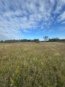 Příroda nedaleko prázdninového domu