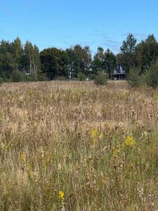 Příroda nedaleko prázdninového domu