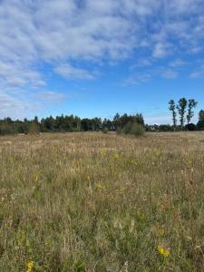 Příroda nedaleko prázdninového domu