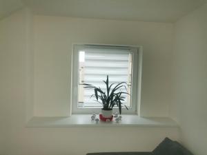 Φωτογραφία από το άλμπουμ του garsonka σε Svetla nad Sazavou