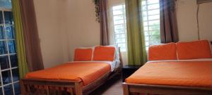 a room with two beds with orange sheets and windows at Boquete Guest House in Puente Cochea +8 photos