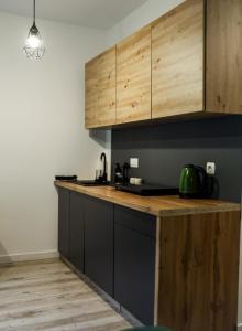 Kuchyň nebo kuchyňský kout v ubytování Apartament Roma