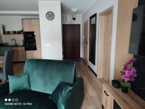 Una sala de estar con un sofá verde y un televisor. en Źródło Izery apartament 41, en Świeradów-Zdrój