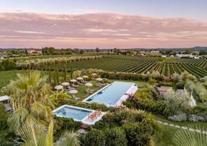 an aerial view of a villa with a pool and a vineyard at Conti Thun Wine Resort in Puegnano del Garda