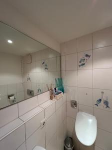 a bathroom with a toilet and a mirror at XXL Schlafzimmer in charmantem Villenanwesen in Heroldsberg