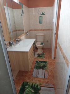 a bathroom with a sink and a toilet and a mirror at La Perle Bleue in Rose Hill +3 photos