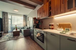 サモコフにあるRila Zen Apartmentのシンクとコンロのあるキッチン トップオーブン