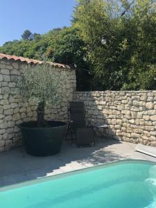 une plante dans un pot à côté d'un mur de pierre dans l'établissement Villa des Rosiers, à La Celle-sous-Gouzon