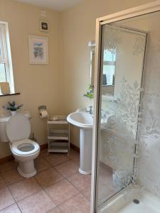 ein Badezimmer mit Dusche, Toilette und Waschbecken in der Unterkunft Moyle Manor in Ballycastle + 19 Fotos