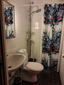 a bathroom with a toilet and a shower curtain at NorthSlope in Rovaniemi