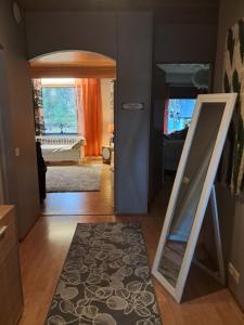 a room with a mirror and a door with a rug at NorthSlope in Rovaniemi