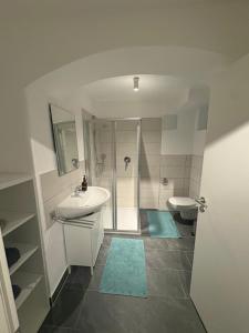 a bathroom with a shower and a sink and a toilet at Schlossblick in Sulzbach-Rosenberg