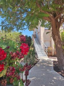 a walkway in front of a house with red flowers at גרוסמן Grossman in Sede Naẖum